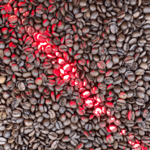 Kawy Wypalane Laserowo
